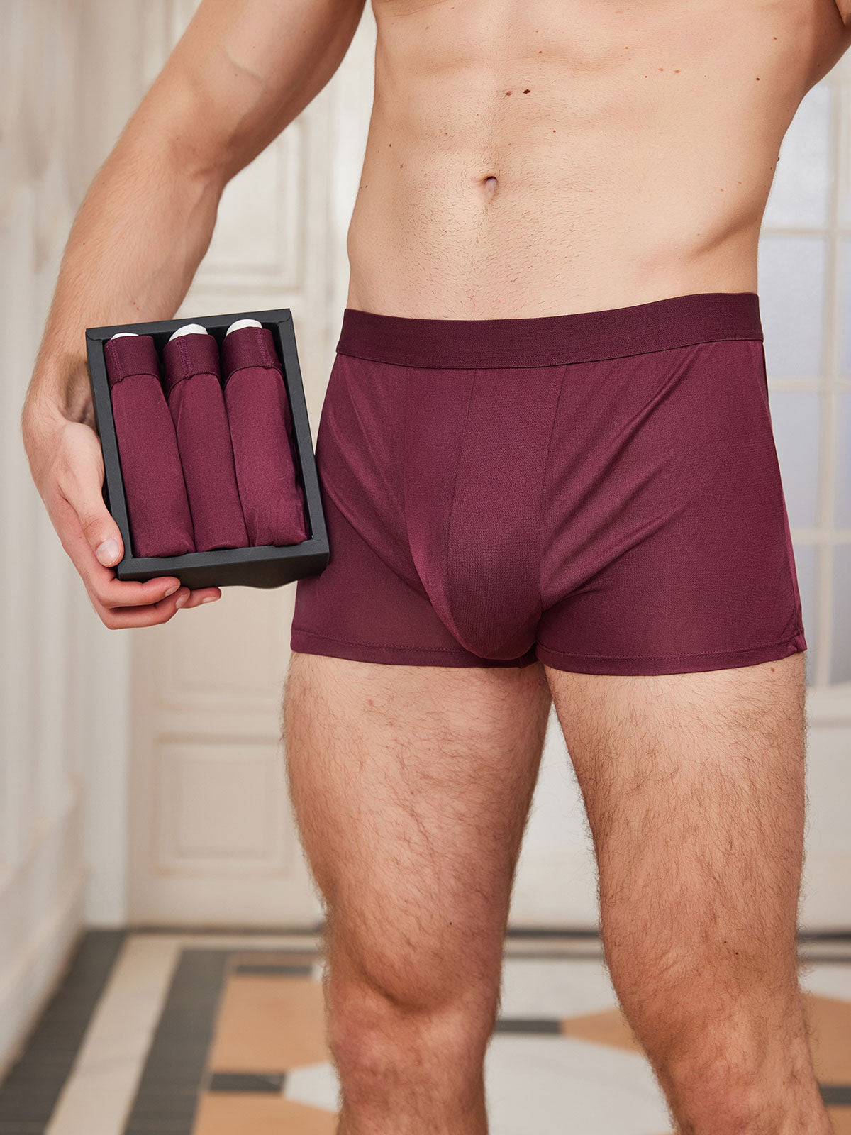 [Wine] SilkSilky-AU Pure Silk Mens Underwear 001