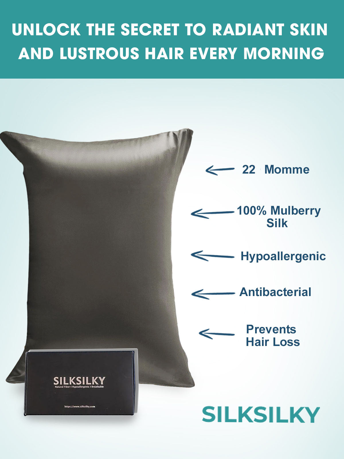 SilkSilky AU 22Momme Pure Silk Pillowcase DarkGray 003