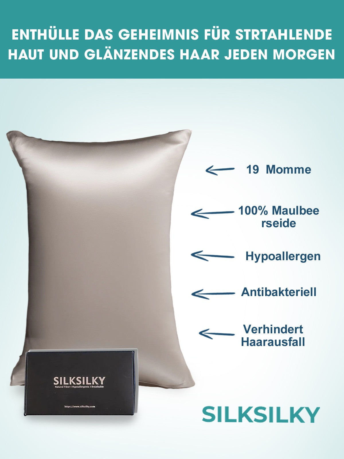 [Gray] SilkSilky-AU 19Momme Pure Silk Pillowcase 002