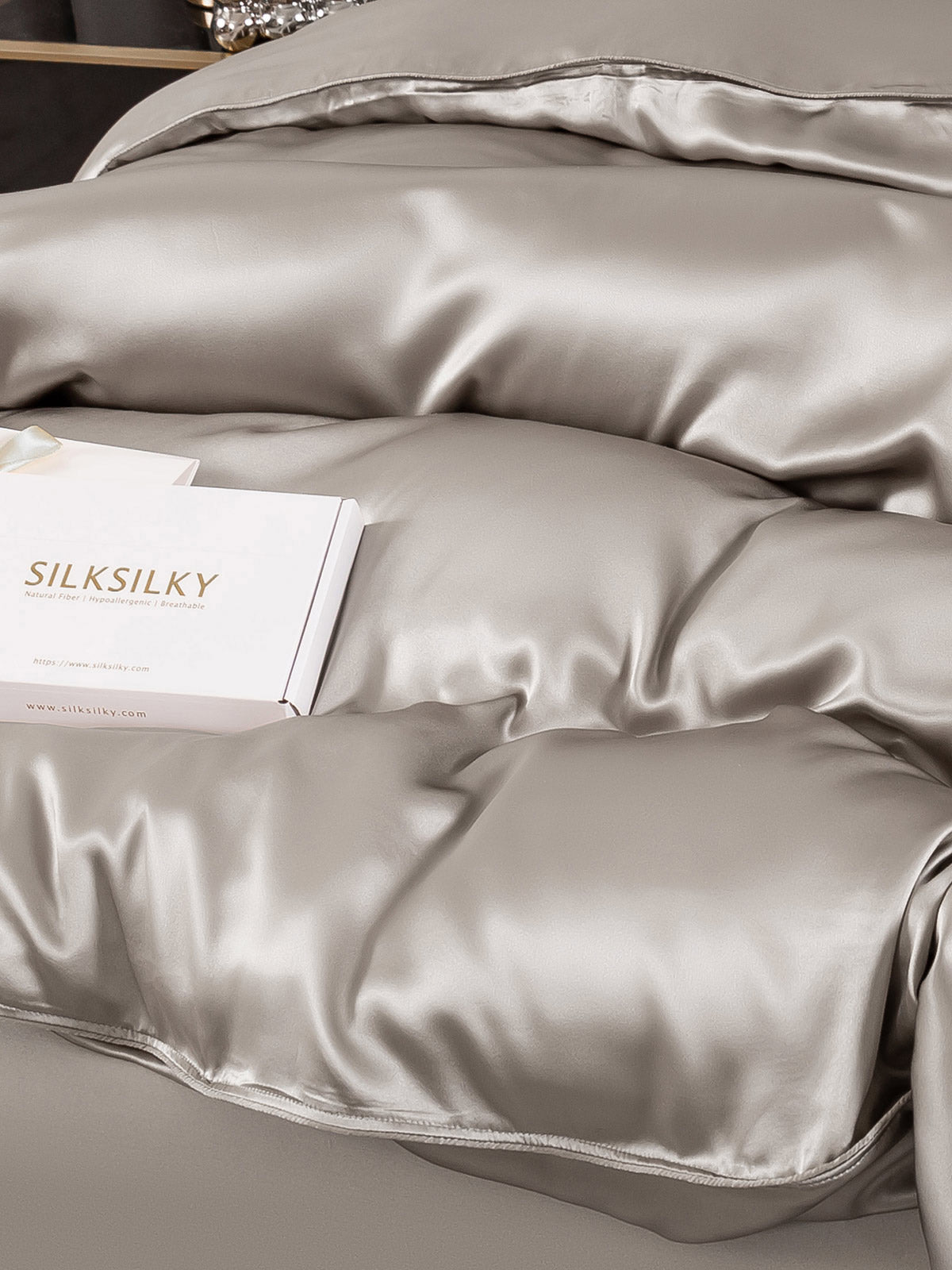 SilkSilky AU 22Momme Pure Silk Duvet Cover Gray 005