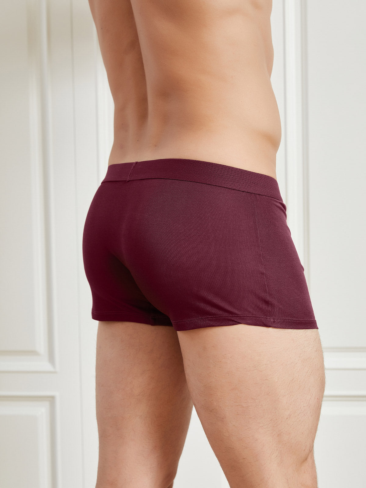 [Wine] SilkSilky-AU Pure Silk Mens Underwear 002