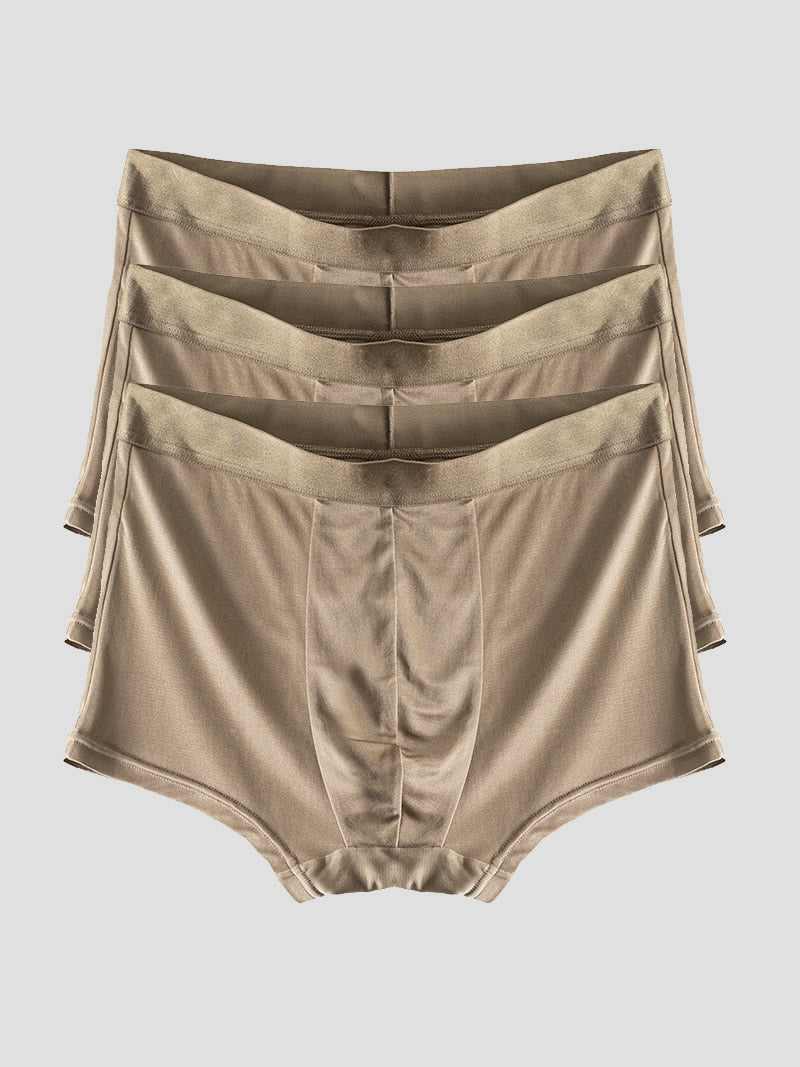 [Coffee] SilkSilky-AU Pure Silk Mens Underwear 006