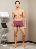 Men‘s Mulberry Silk Knitted Boxer Briefs Underwear
