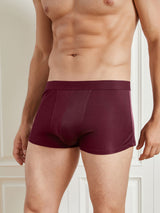 [Wine] SilkSilky-AU 100% Silk Jersey Men's Underwear 003