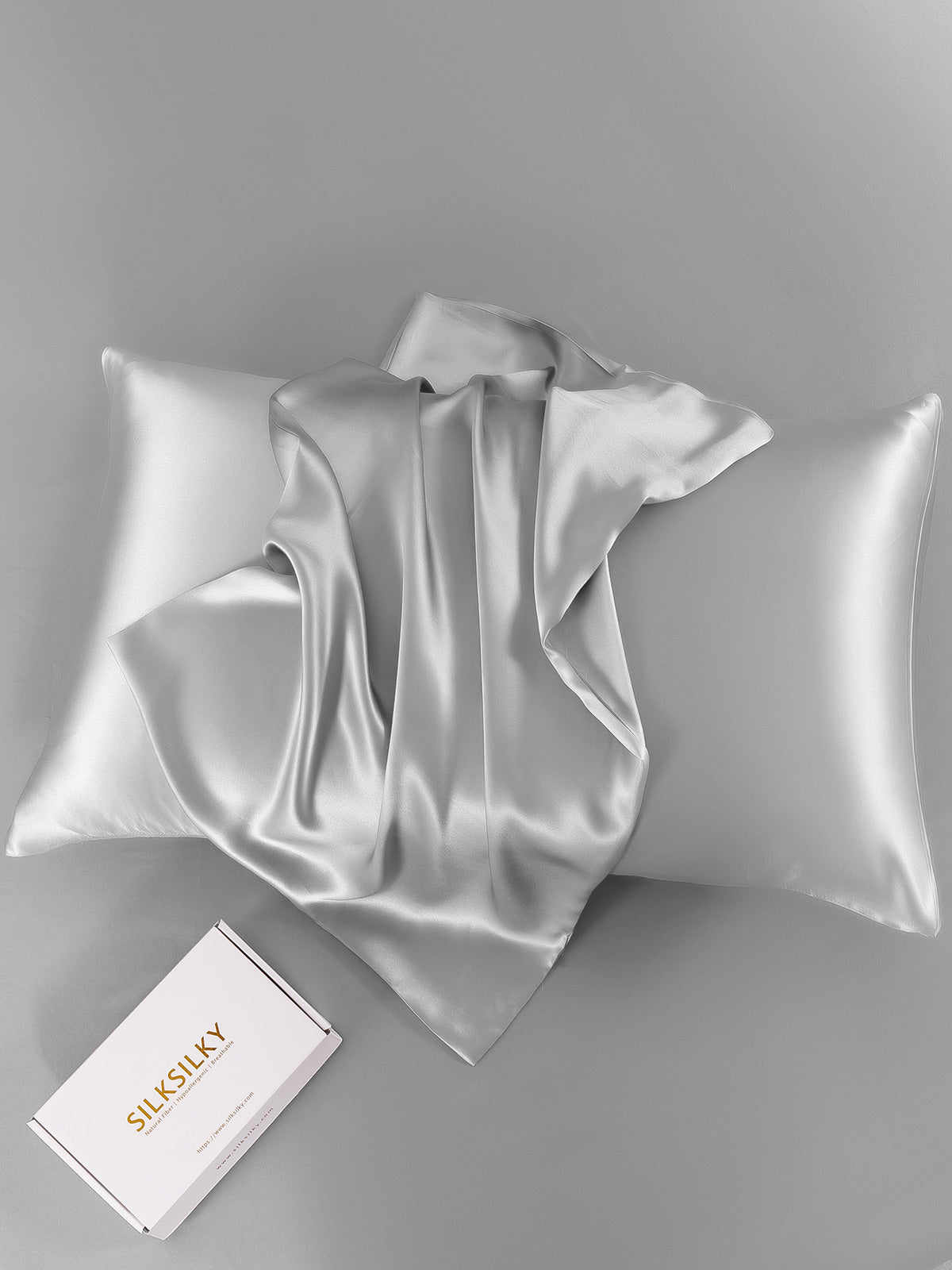 SilkSilky AU 22Momme Pure Silk Pillowcase Silver 001