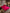 [Wine] SilkSilky-AU 19Momme Pure Silk Bedding Set 001