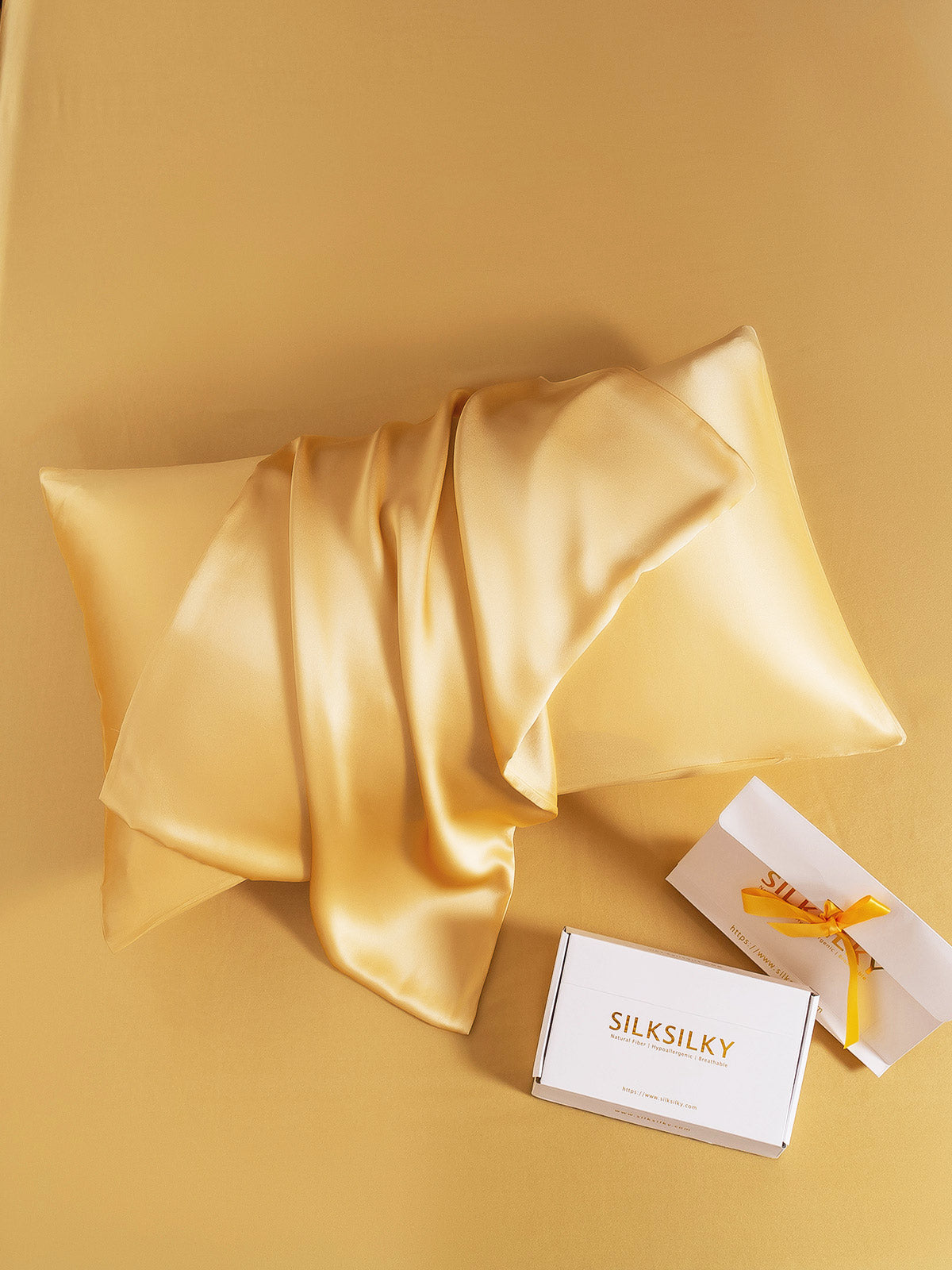 SilkSilky-AU 19Momme Pure Silk Pillowcase Champagne 004