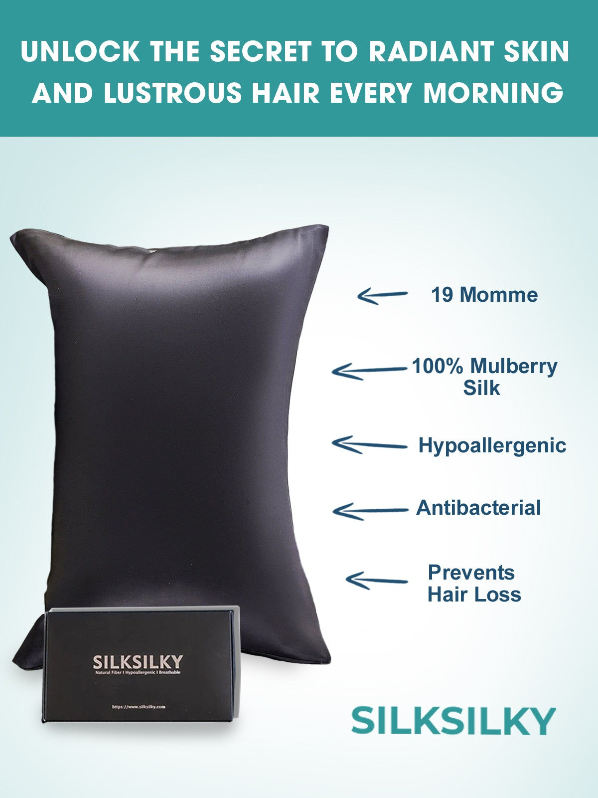 [Black] SilkSilky-AU 19Momme Pure Silk Pillowcase 003
