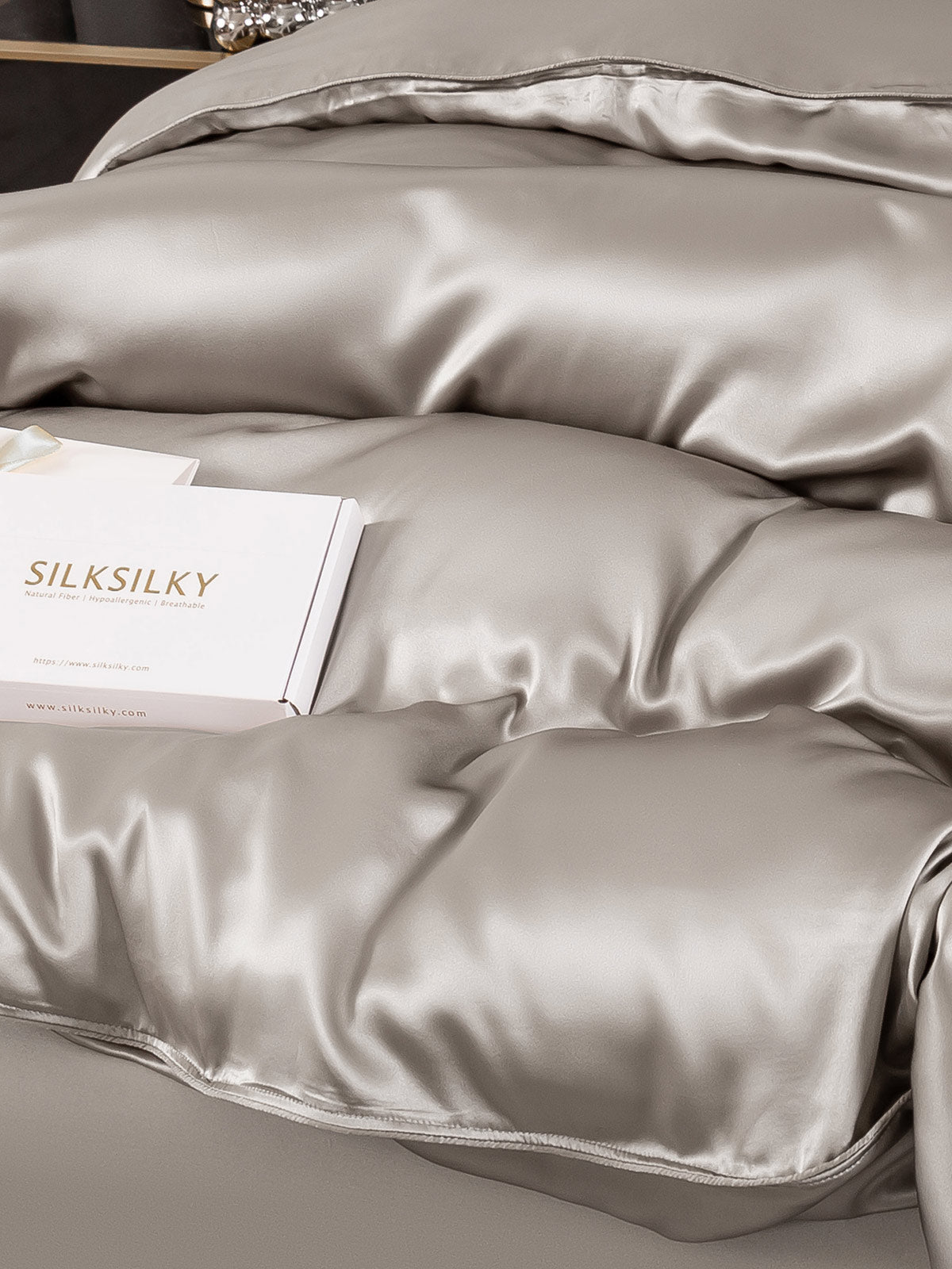 [Gray] SilkSilky-AU 19Momme Pure Silk Bedding Set 006
