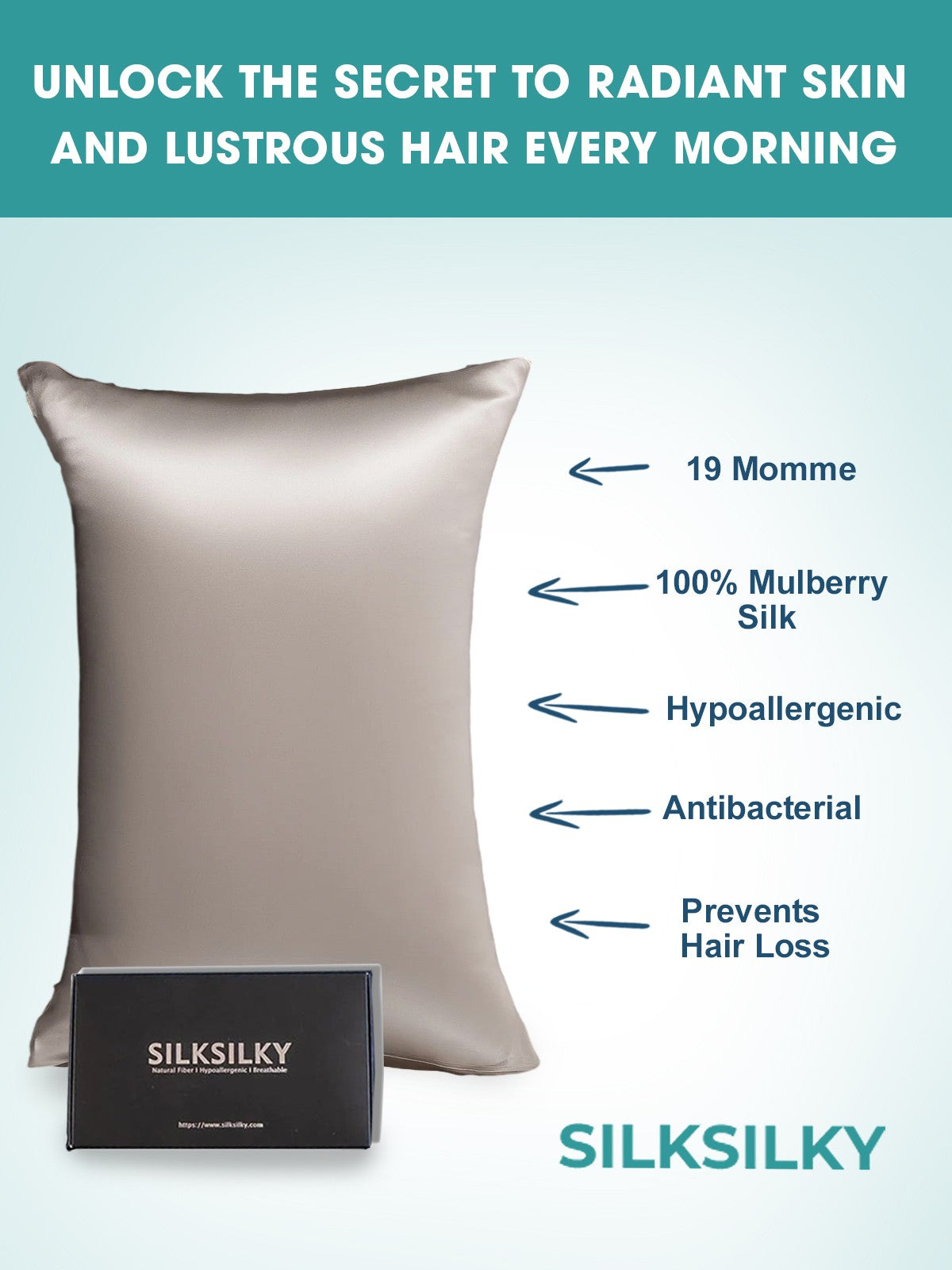 [Gray] SilkSilky-AU 19Momme Pure Silk Pillowcase 003