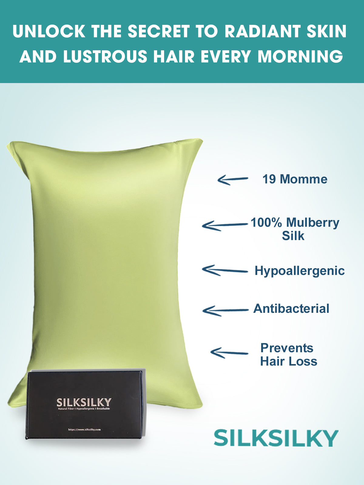 [Light Blue] SilkSilky-AU 19Momme Pure Silk Pillowcase 021