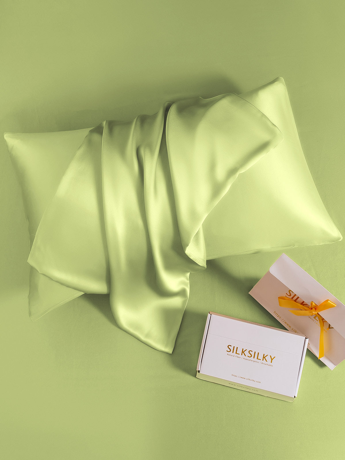 [Light Blue] SilkSilky-AU 19Momme Pure Silk Pillowcase 024