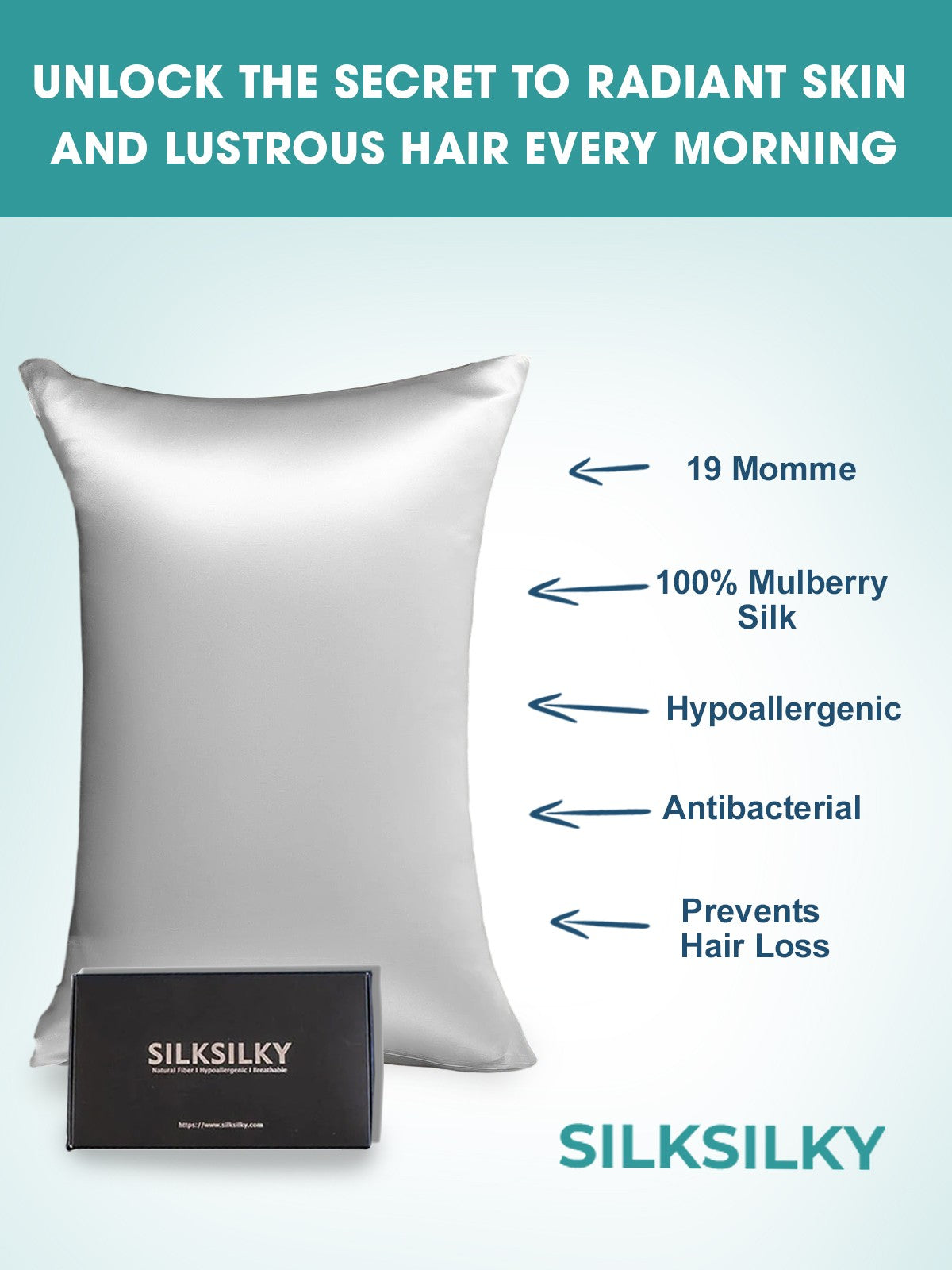 [Silver] SilkSilky-AU 19Momme Pure Silk Pillowcase 003