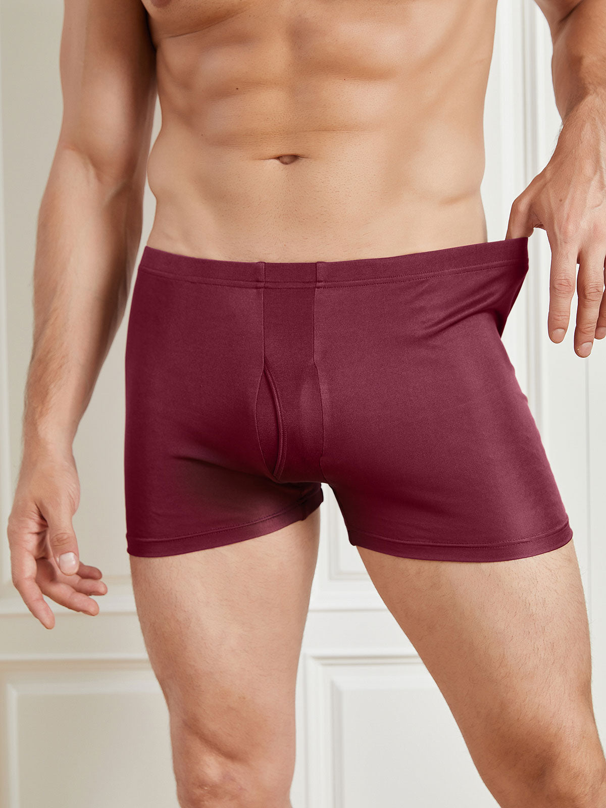 [Wine] SilkSilky-AU Silk Knitted Mens Underwear 004