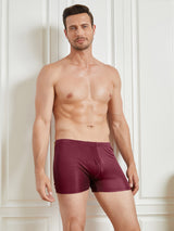 [Wine] SilkSilky-AU 100% Silk Jersey Men's Underwear 003