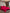 [Wine] SilkSilky-AU 19Momme Pure Silk Bedding Set 001