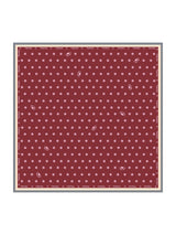 [Wine] SilkSilky-AU Scarf 001