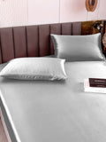 SilkSilky AU 19Momme Pure Silk Bedding Set Silver 002