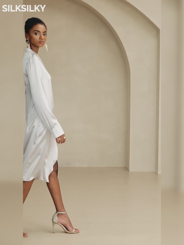 SilkSilky-AU-19Momme-Silk-Long-Sleeve-V-Neck-Dress-video-001